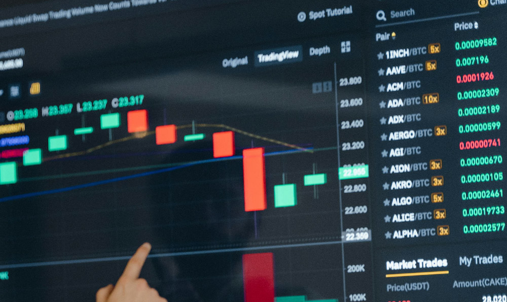 How Much Revenue Does Payalgaming Generate?
