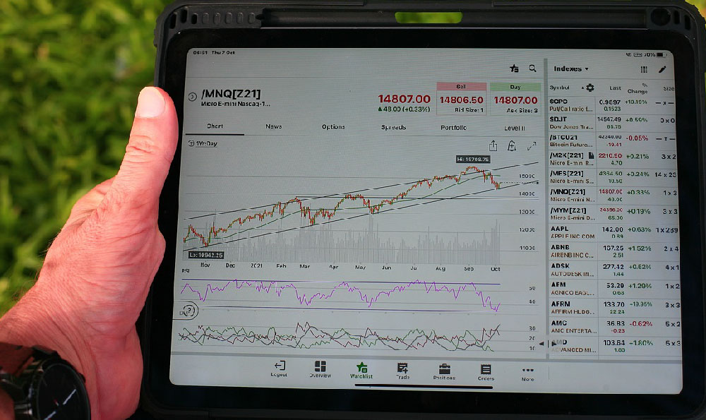 How Much to Invest in Stocks: Minimum Amount or Maximum Gain?
