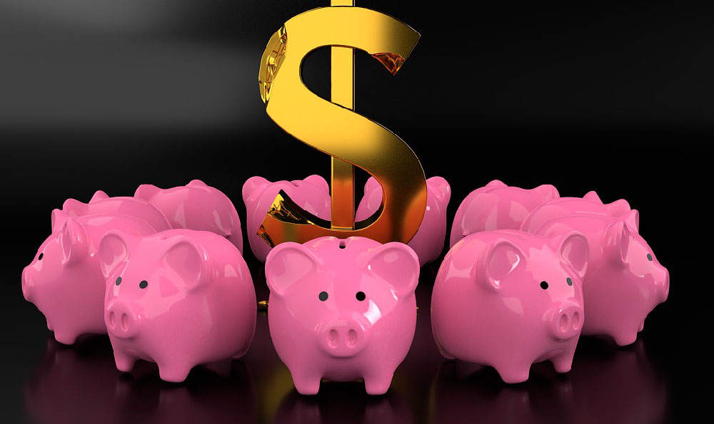 How Many Invest in Stocks, and Why (or Why Not)?